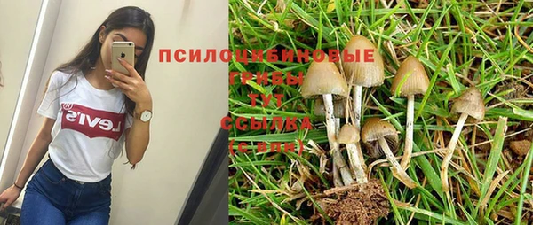 герыч Покровск